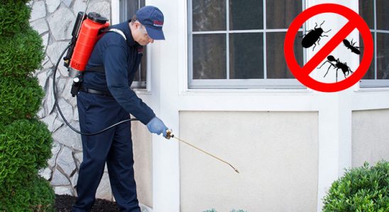 Köşk Kemirgen İlaçlama böcek ilaçlama ve haşere kontrolü — ilaclama-tr.com